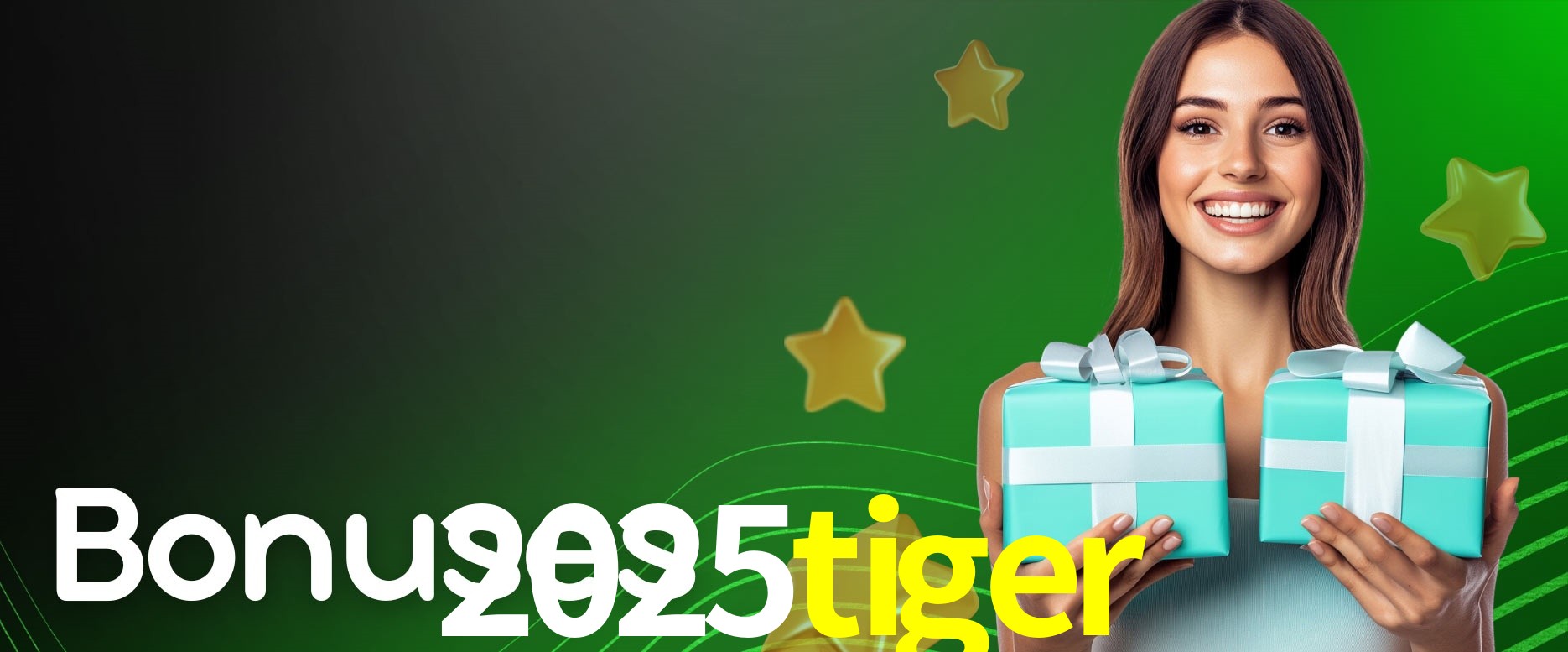 API Integration 2025tiger